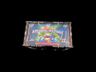 Lot 40 - POKEMON COMPANY (FRANCE) (1)