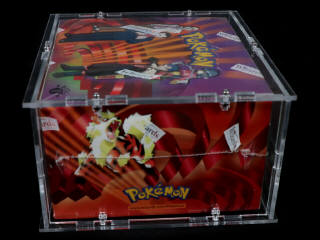 Lot 41 - POKEMON COMPANY (USA) (1)
