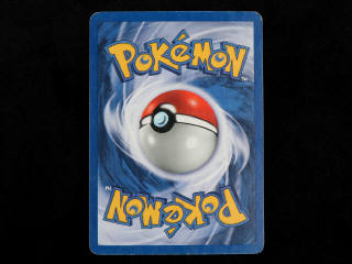 Lot 20 - POKEMON COMPANY (FRANCE) (1)