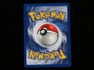 Lot 152 - POKEMON COMPANY (USA) (1)