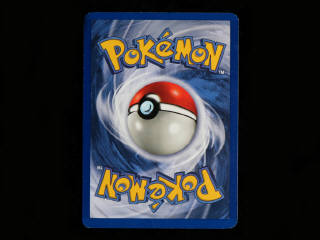 Lot 147 - POKEMON COMPANY (USA) (1)