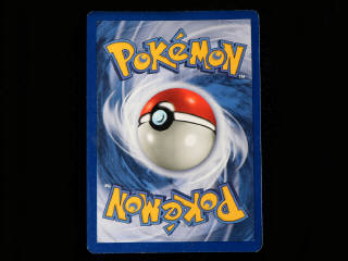 Lot 142 - POKEMON COMPANY (PORTUGAL) (1)