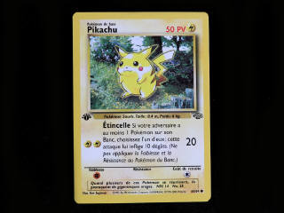 Lot 25 - POKEMON COMPANY (FRANCE) (1)