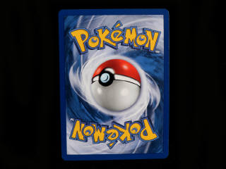 Lot 25 - POKEMON COMPANY (FRANCE) (1)