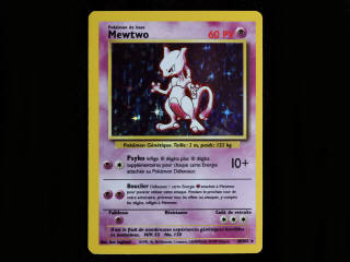 Lot 8 - POKEMON COMPANY (FRANCE) (1)