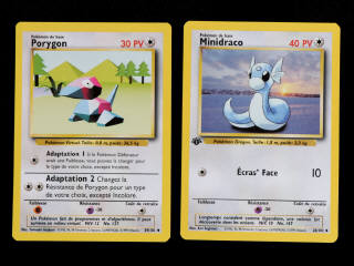 Lot 36 - POKEMON COMPANY (FRANCE) (2)