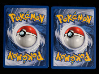 Lot 41 - POKEMON COMPANY (FRANCE) (2)