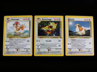 Lot 68 - POKEMON COMPANY (FRANCE) (3)