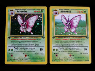 Lot 30 - POKEMON COMPANY (FRANCE) (2)