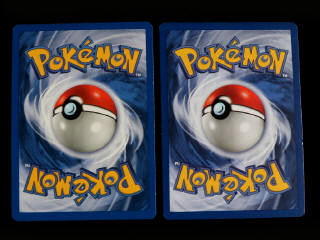 Lot 30 - POKEMON COMPANY (FRANCE) (2)