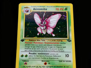 Lot 30 - POKEMON COMPANY (FRANCE) (2)