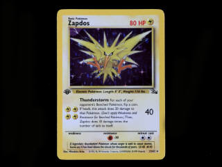 Lot 69 - POKEMON COMPANY (USA) (1)