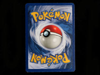 Lot 69 - POKEMON COMPANY (USA) (1)