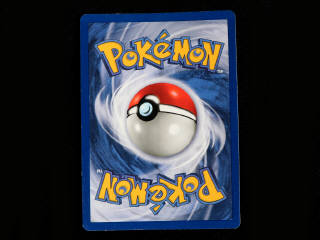 Lot 66 - POKEMON COMPANY (PORTUGAL) (1)