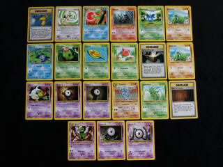 Lot 40 - POKEMON COMPANY (FRANCE) (21)