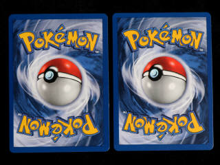 Lot 10 - POKEMON COMPANY (FRANCE) (2)