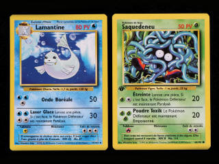 Lot 5 - POKEMON COMPANY (FRANCE) (2)