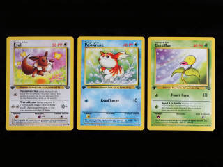 Lot 23 - POKEMON COMPANY (FRANCE) (3)