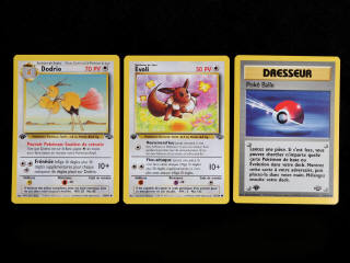 Lot 22 - POKEMON COMPANY (FRANCE) (3)