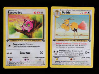 Lot 4 - POKEMON COMPANY (FRANCE) (2)