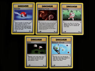Lot 24 - POKEMON COMPANY (FRANCE) (5)