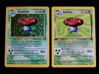 Lot 57 - POKEMON COMPANY (2)