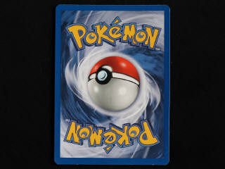 Lot 82 - POKEMON COMPANY (FRANCE) (1)