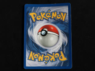 Lot 83 - POKEMON COMPANY (FRANCE) (1)