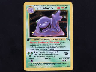 Lot 87 - POKEMON COMPANY (FRANCE) (1)