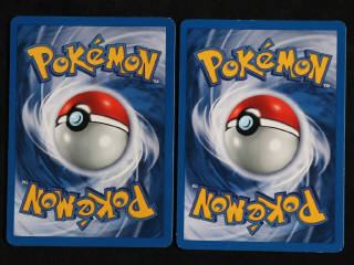 Lot 93 - POKEMON COMPANY (FRANCE) (2)