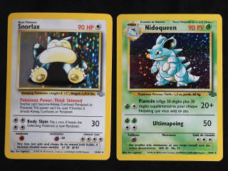 Lot 95 - POKEMON COMPANY (FRANCE) (2)