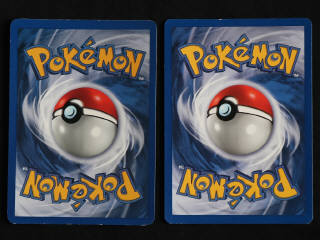 Lot 95 - POKEMON COMPANY (FRANCE) (2)