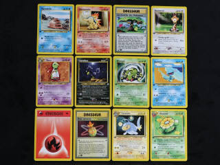 Lot 100 - POKEMON COMPANY (FRANCE) (12)