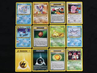 Lot 101 - POKEMON COMPANY (FRANCE) (12)