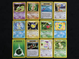 Lot 102 - POKEMON COMPANY (FRANCE) (12)