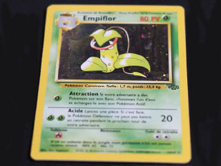 Lot 115 - POKEMON COMPANY (FRANCE) (3)