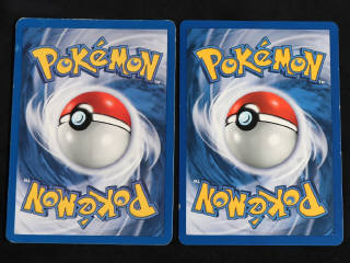 Lot 116 - POKEMON COMPANY (FRANCE) (2)
