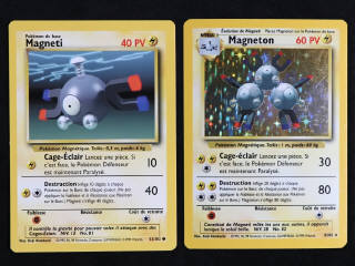 Lot 119 - POKEMON COMPANY (FRANCE) (2)