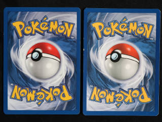 Lot 119 - POKEMON COMPANY (FRANCE) (2)