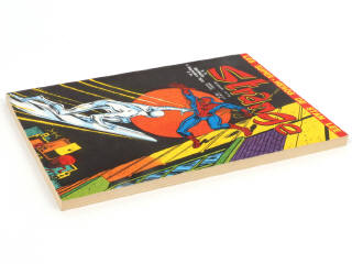 Lot 115 - EDITIONS LUG (FRANCE) (1)