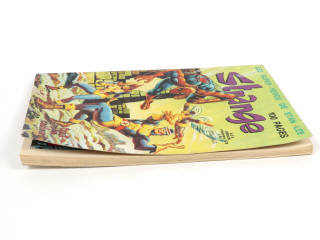 Lot 122 - EDITIONS LUG (FRANCE) (1)