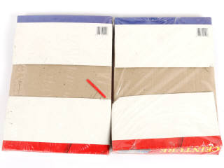 Lot 275 - DELAVENNAT (FRANCE) (2)
