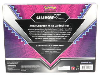 Lot 169 - POKEMON COMPANY (FRANCE) (1)