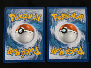 Lot 247 - POKEMON COMPANY (FRANCE) (2)