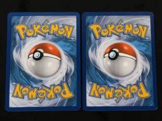 Lot 248 - POKEMON COMPANY (FRANCE) (2)