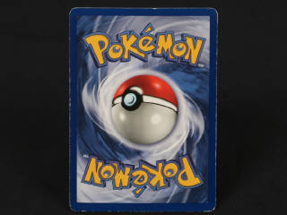 Lot 185 - POKEMON COMPANY (FRANCE) (1)