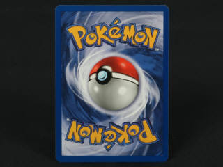 Lot 189 - POKEMON COMPANY (FRANCE) (1)