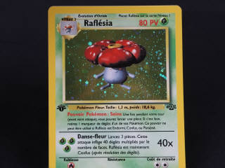 Lot 189 - POKEMON COMPANY (FRANCE) (1)