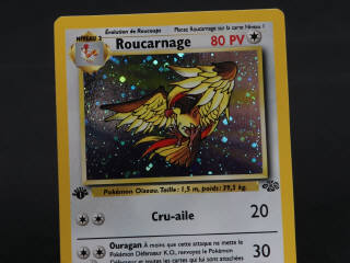 Lot 194 - POKEMON COMPANY (FRANCE) (1)