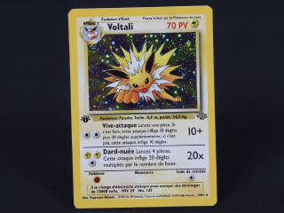 Lot 191 - POKEMON COMPANY (FRANCE) (1)